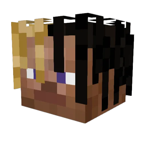OMG_Playon Minecraft avatar head, 3D render