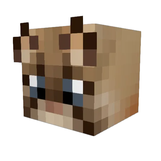 OMGcrackers Minecraft avatar head, 3D render