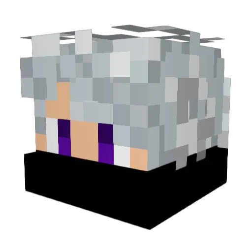 OMcDudeSter Minecraft avatar head, 3D render