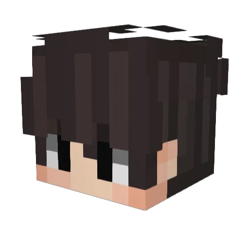 ONE_J Minecraft avatar head, 3D render