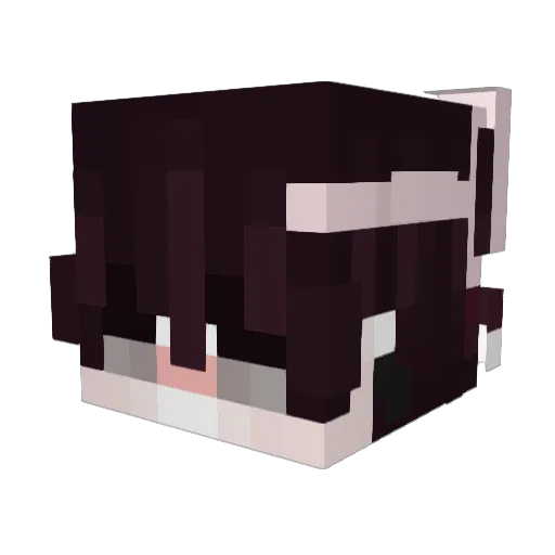 ONL_SHIN Minecraft avatar head, 3D render