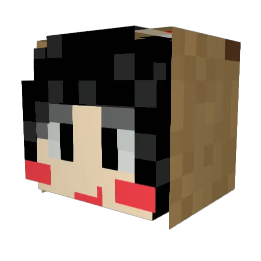 ON_bean Minecraft avatar head, 3D render
