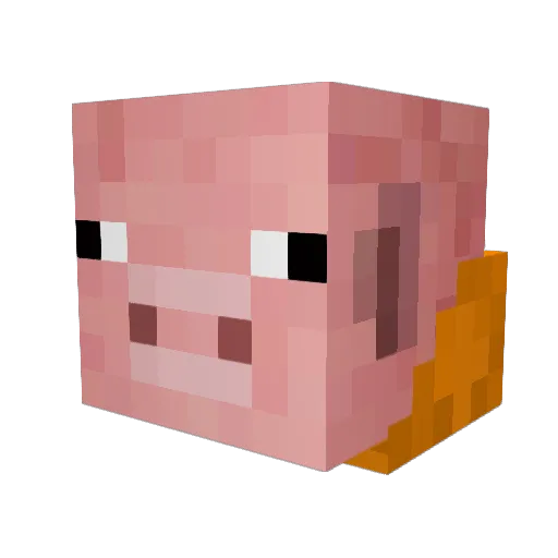 OOMG_ Minecraft avatar head, 3D render