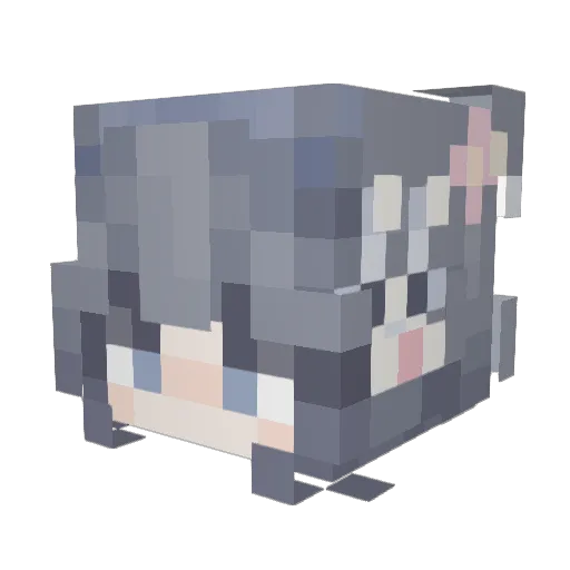 OOONinjaSkills Minecraft avatar head, 3D render