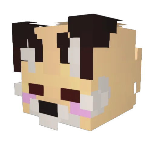 OOblivionn1 Minecraft avatar head, 3D render