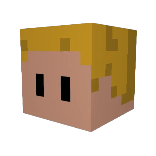 OP2014 Minecraft avatar head, 3D render
