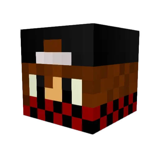OP5G Minecraft avatar head, 3D render