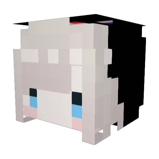 OPEeration Minecraft avatar head, 3D render