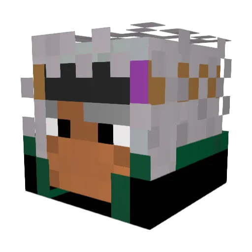 OPG_Dolfa Minecraft avatar head, 3D render