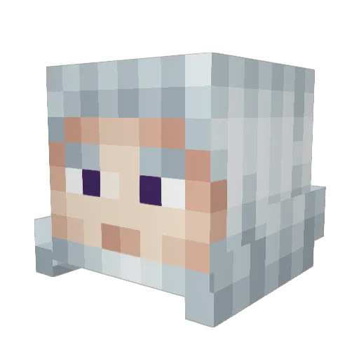 OPNCE11 Minecraft avatar head, 3D render