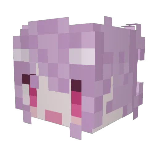OPO__ Minecraft avatar head, 3D render