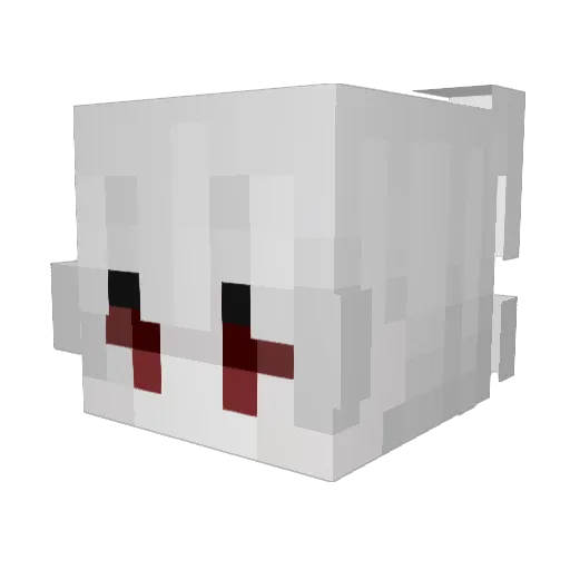 OPPSTOPPAAYOUB Minecraft avatar head, 3D render
