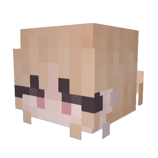 OPToucan Minecraft avatar head, 3D render