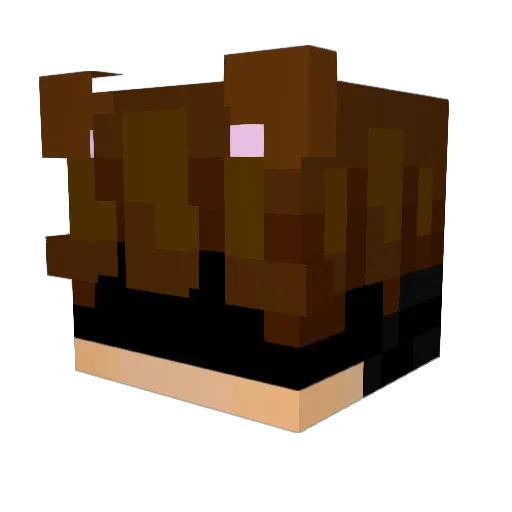 OP_Hero Minecraft avatar head, 3D render