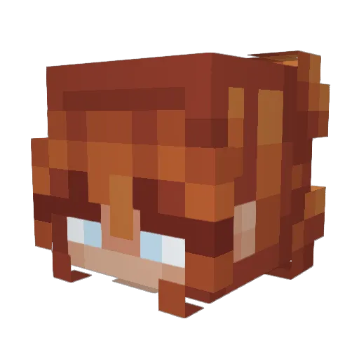 OP_Pigeon Minecraft avatar head, 3D render