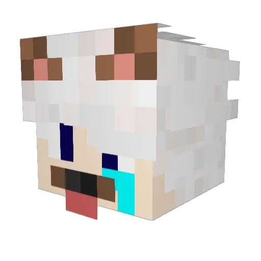 OPequenoInfa Minecraft avatar head, 3D render