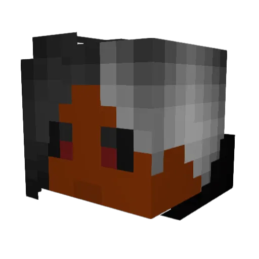 OPossum221 Minecraft avatar head, 3D render