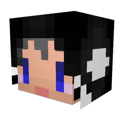 ORCAcyan Minecraft avatar head, 3D render