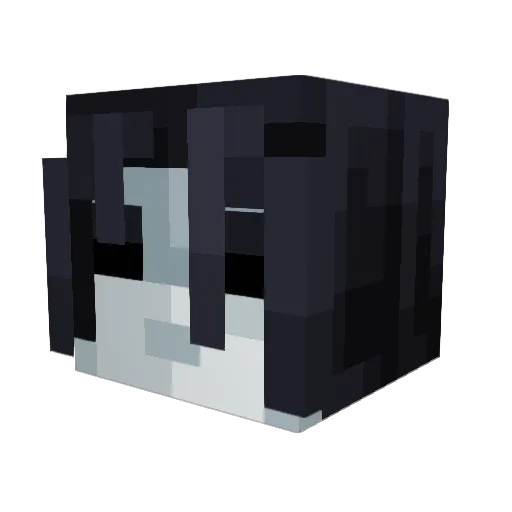 ORRUPOD0NOK_ Minecraft avatar head, 3D render