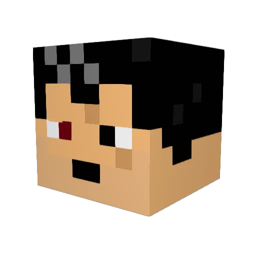OSAUIT Minecraft avatar head, 3D render