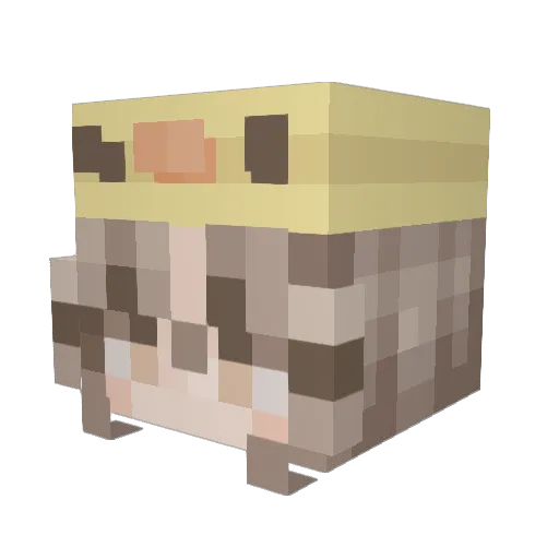 OSGMO Minecraft avatar head, 3D render
