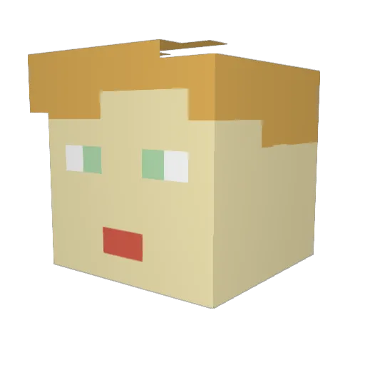 OT2004 Minecraft avatar head, 3D render