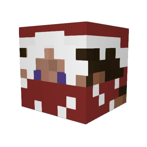 OTGArmy Minecraft avatar head, 3D render