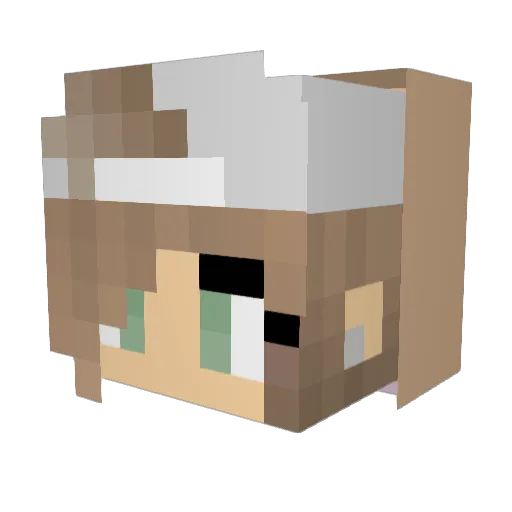 OVN12 Minecraft avatar head, 3D render