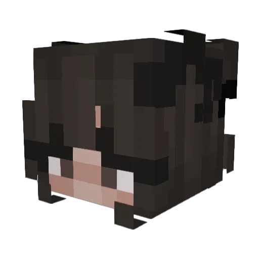 OXxBNGxXO Minecraft avatar head, 3D render