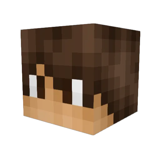 OZONE_ROX Minecraft avatar head, 3D render