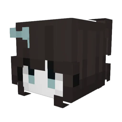O_C_E_L_O_T Minecraft avatar head, 3D render