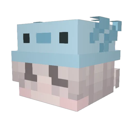 O_N_ing Minecraft avatar head, 3D render