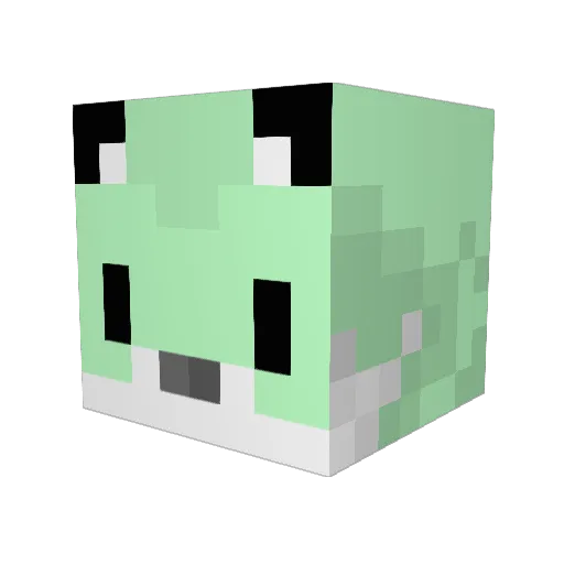 O_NeonPanda_O Minecraft avatar head, 3D render