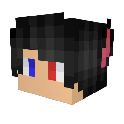 O_Noa_O Minecraft avatar head, 3D render