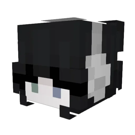 O_S_E_ Minecraft avatar head, 3D render