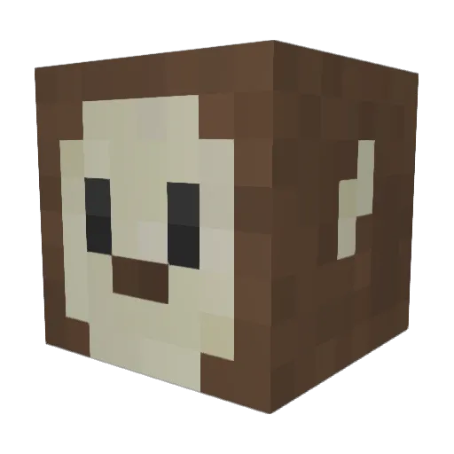 O_Salem Minecraft avatar head, 3D render