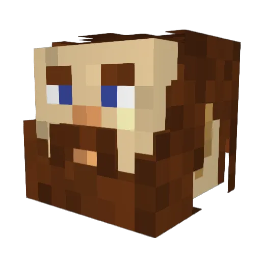 O_T_M_A Minecraft avatar head, 3D render