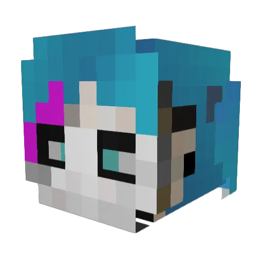 O__Sally_Face__O Minecraft avatar head, 3D render