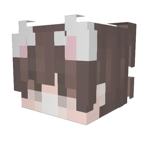 O___Z Minecraft avatar head, 3D render