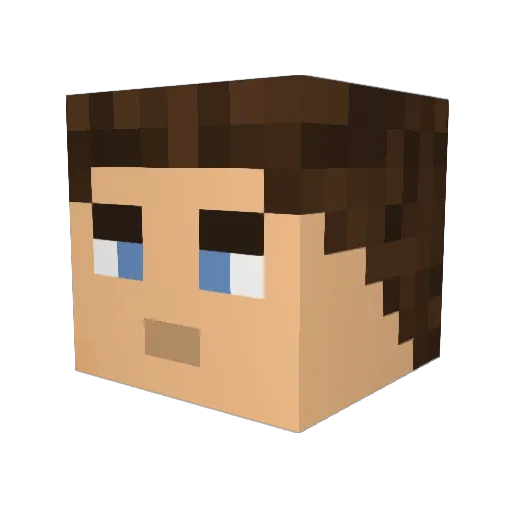 O_________O Minecraft avatar head, 3D render