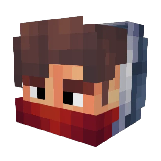 O____________Q Minecraft avatar head, 3D render