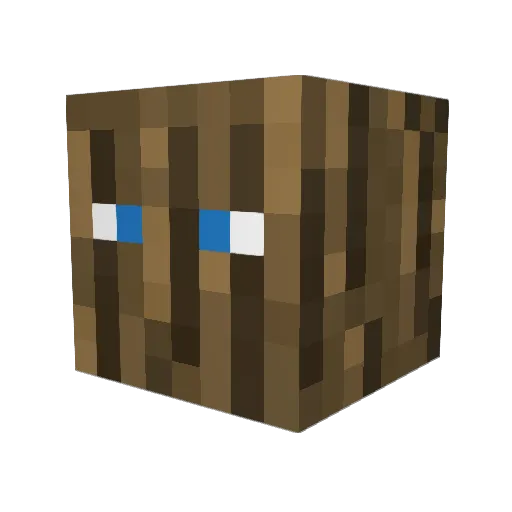 Oak10 Minecraft avatar head, 3D render