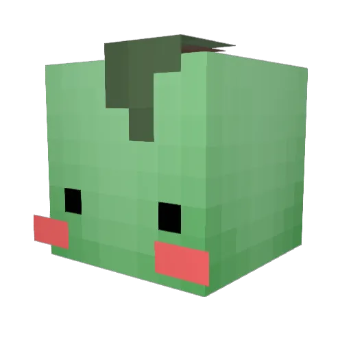 Oak1211 Minecraft avatar head, 3D render
