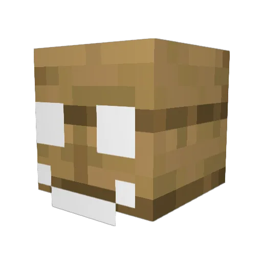 OakPlankers Minecraft avatar head, 3D render