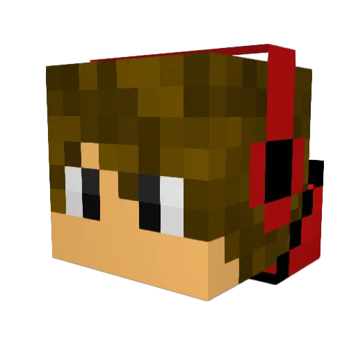 OakShark5614875 Minecraft avatar head, 3D render