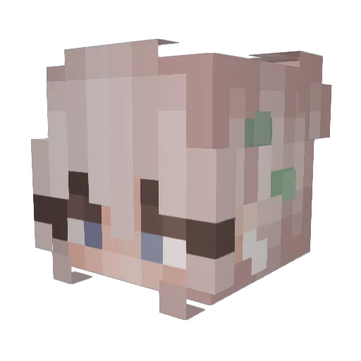 OakSoap Minecraft avatar head, 3D render