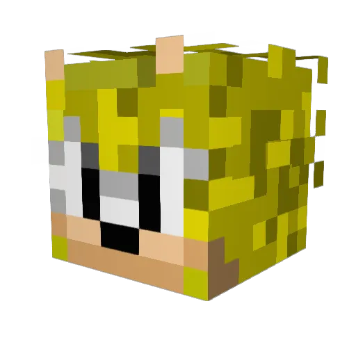 OakWriter8547 Minecraft avatar head, 3D render
