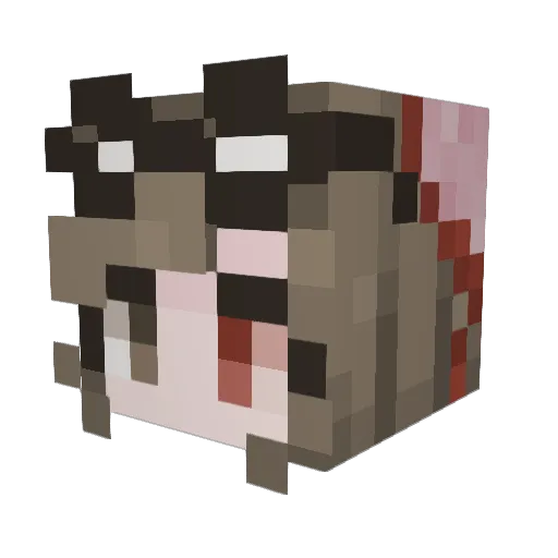 Oak_Aardvark Minecraft avatar head, 3D render