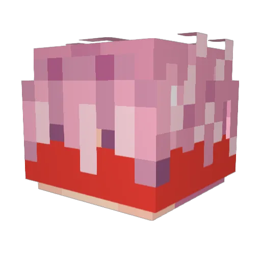Oaken_BaiYu Minecraft avatar head, 3D render