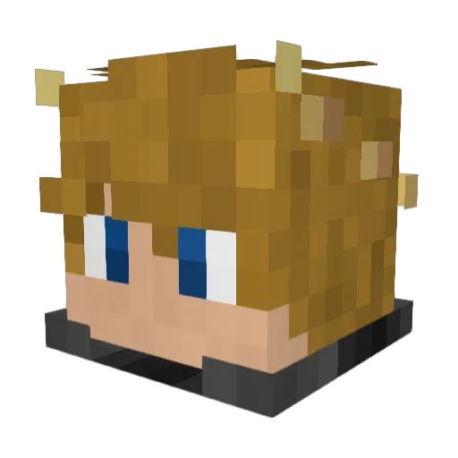 Oakens12 Minecraft avatar head, 3D render